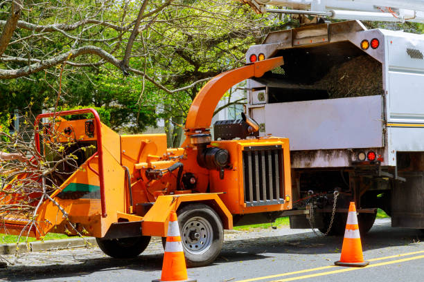 Why Choose Our Tree Removal Services in Fort Pierre, SD?