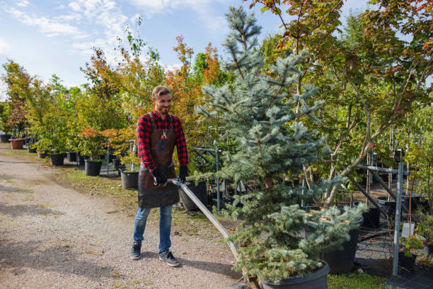 Best Tree and Shrub Care  in Fort Pierre, SD